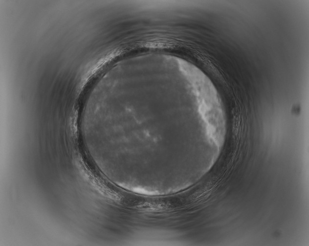 X0000116050727200912111503