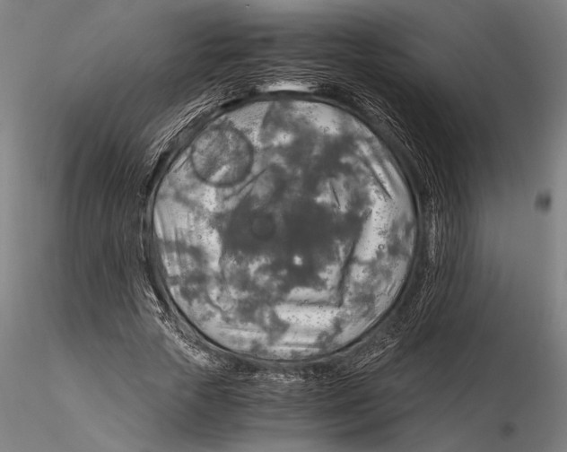 X0000116050729200912111503