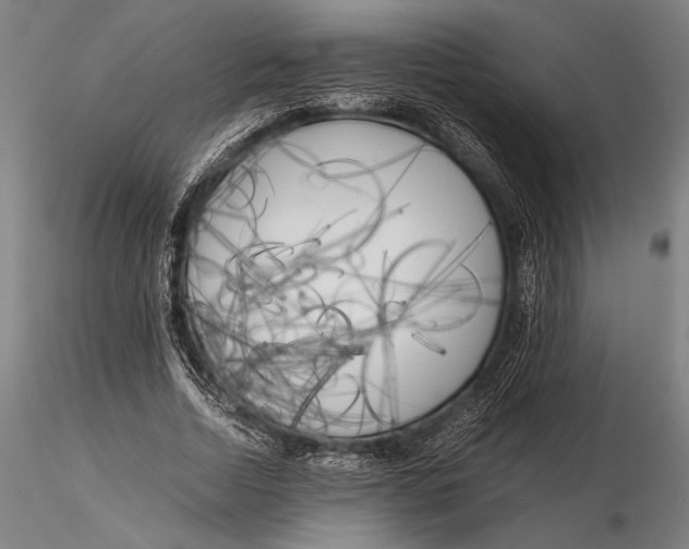 X0000116050730200912111503