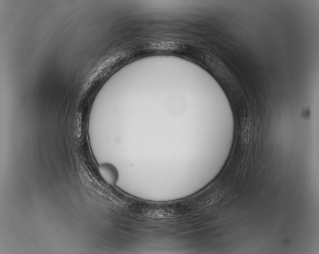 X0000116050731200912111503