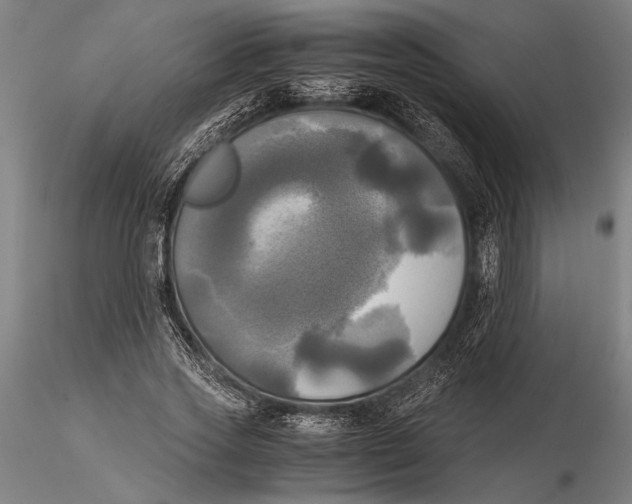 X0000116050733200912111503