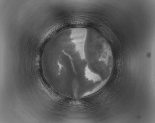X0000116050735200912111503