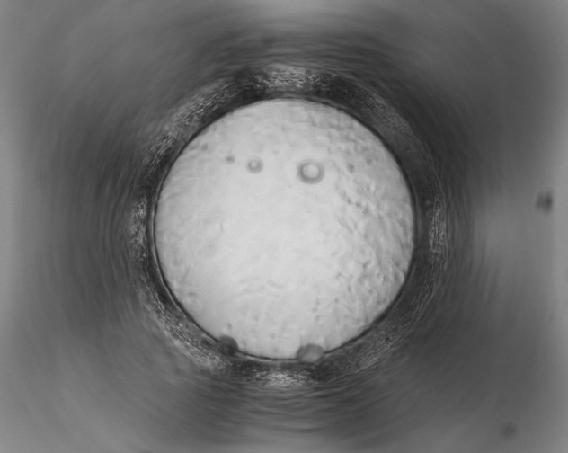 X0000116050737200912111503