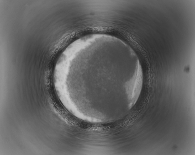 X0000116050738200912111503
