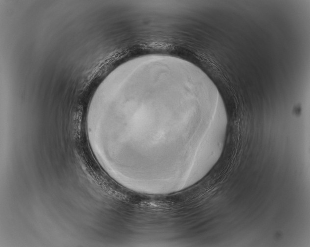 X0000116050739200912111503