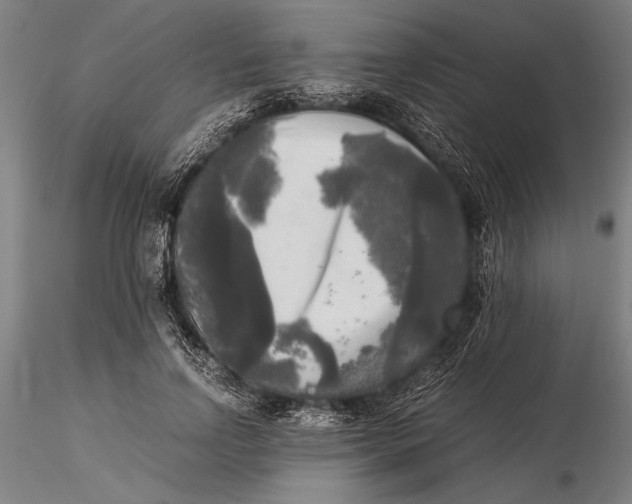 X0000116050742200912111503