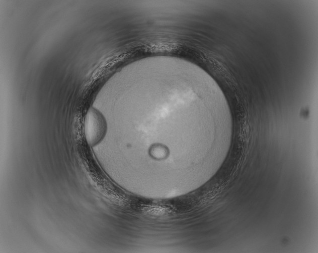 X0000116050743200912111503