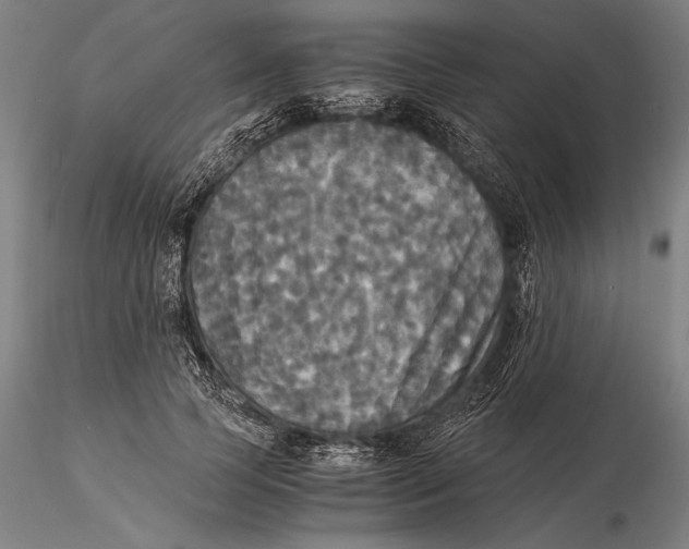 X0000116050745200912111504