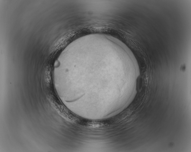 X0000116050746200912111504