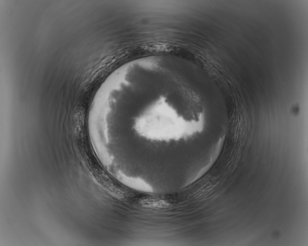 X0000116050747200912111504