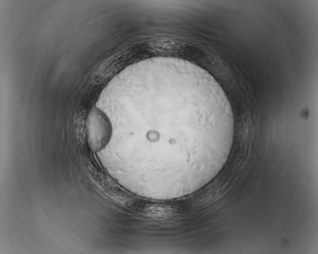X0000116050749200912111504