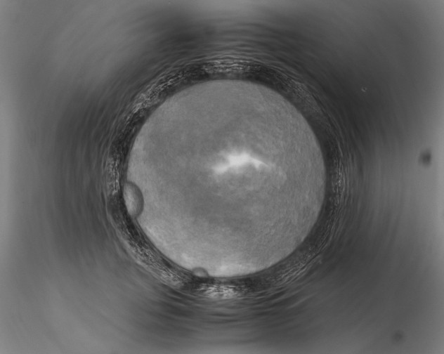 X0000116050751200912111504