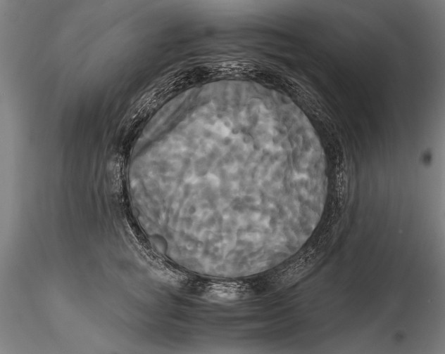 X0000116050757200912111504