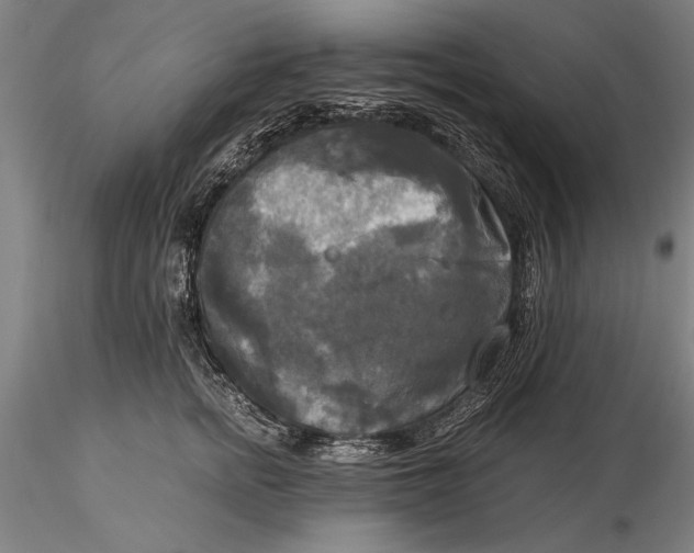 X0000116050758200912111504