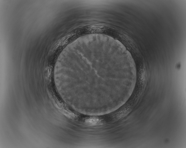 X0000116050759200912111504