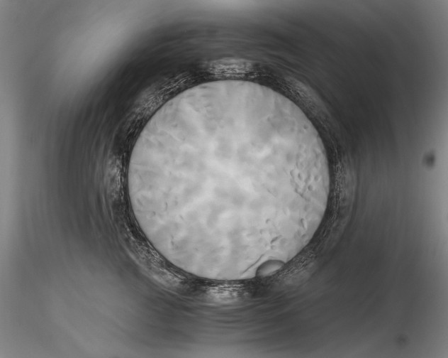 X0000116050761200912111504