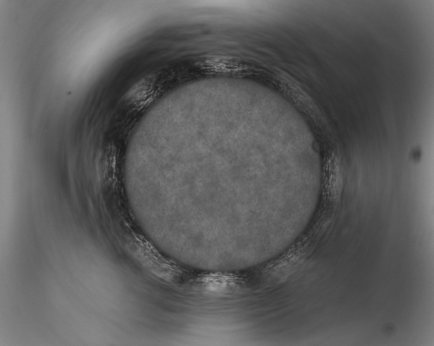 X0000116050762200912111504