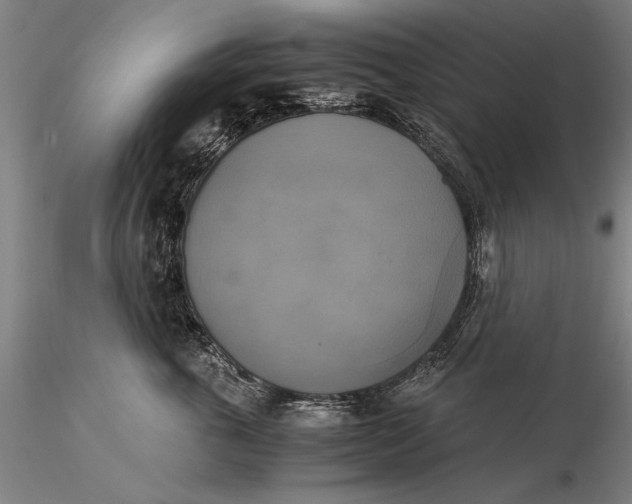 X0000116050763200912111504