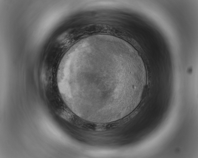 X0000116050766200912111504