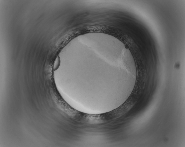 X0000116050767200912111504