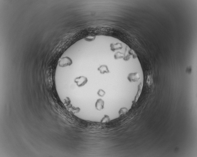 X0000116050771200912111503