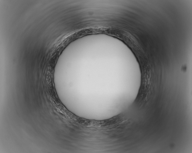 X0000116050773200912111503