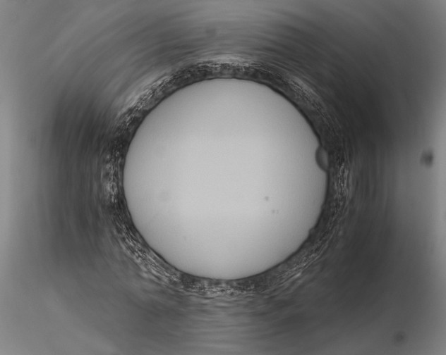 X0000116050774200912111503