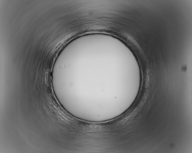 X0000116050777200912111503
