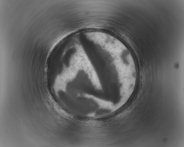 X0000116050779200912111503