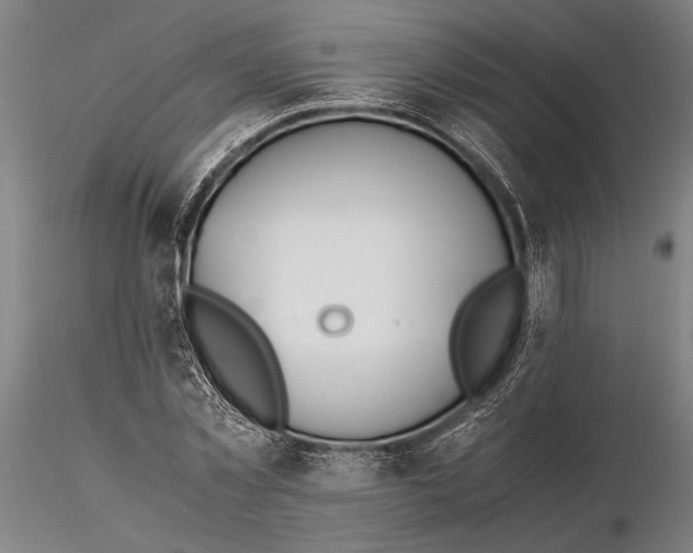 X0000116050781200912111503