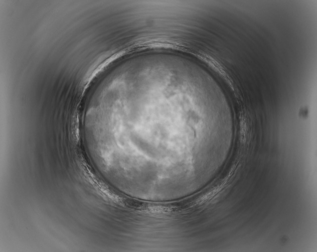 X0000116050782200912111503