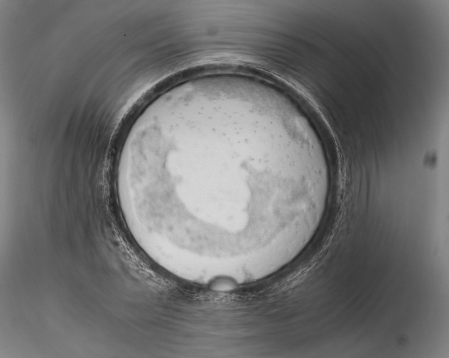 X0000116050783200912111503