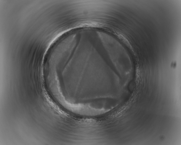 X0000116050784200912111503