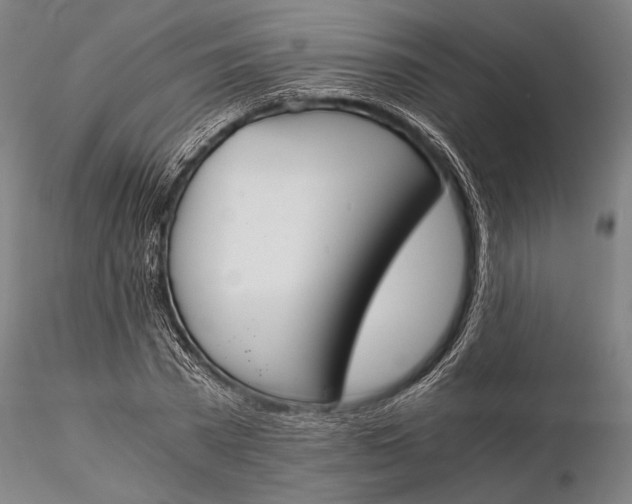 X0000116050785200912111503