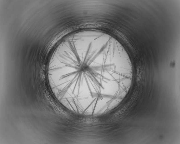 X0000116050786200912111503