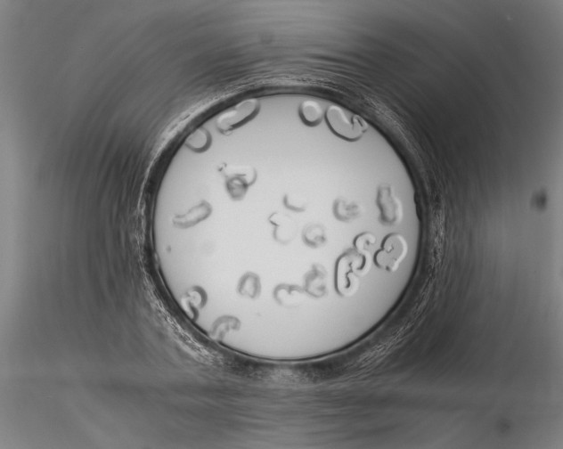 X0000116050787200912111503