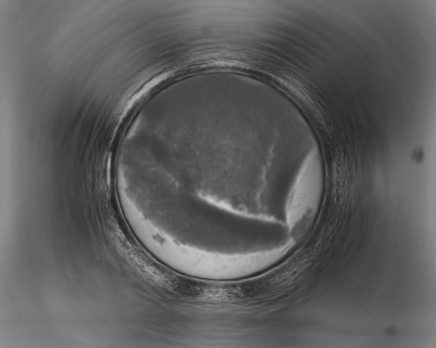 X0000116050790200912111503
