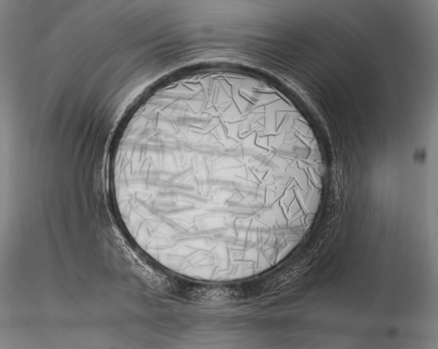 X0000116050791200912111503