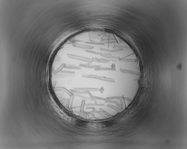 X0000116050795200912111503