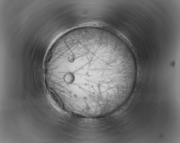 X0000116050800200912111503