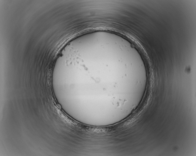 X0000116050801200912111503