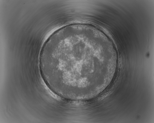 X0000116050803200912111503