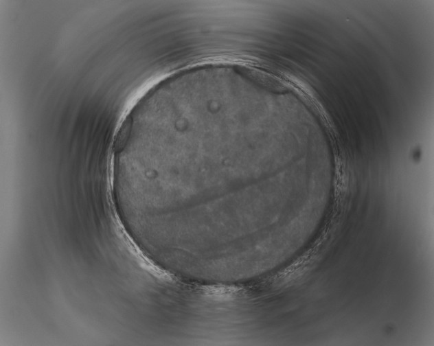 X0000116050804200912111503