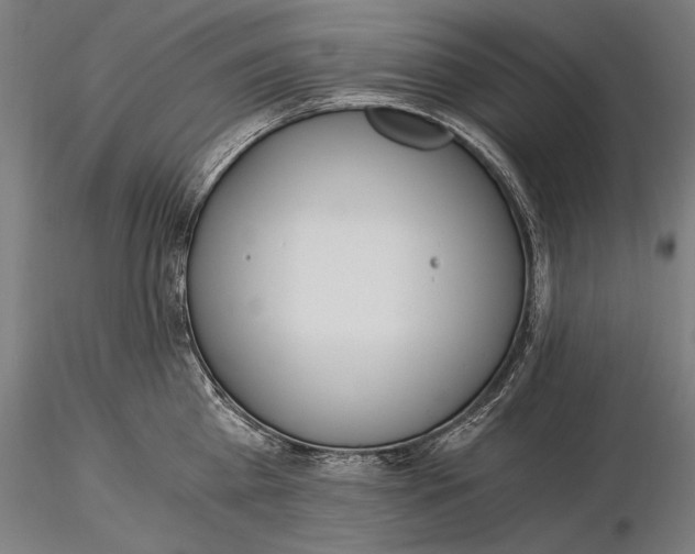 X0000116050809200912111502