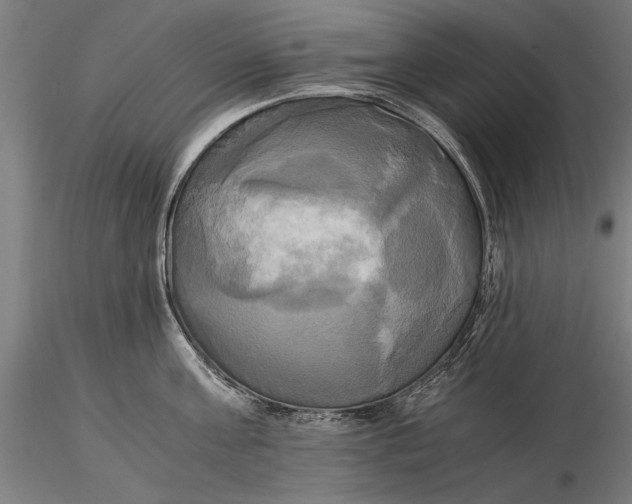 X0000116050811200912111502