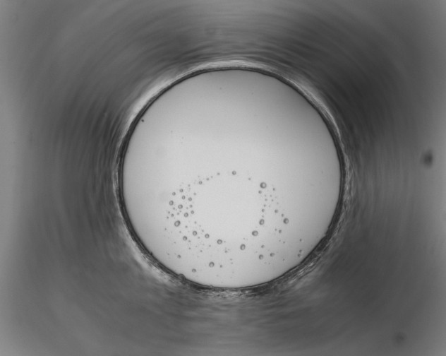 X0000116050813200912111502