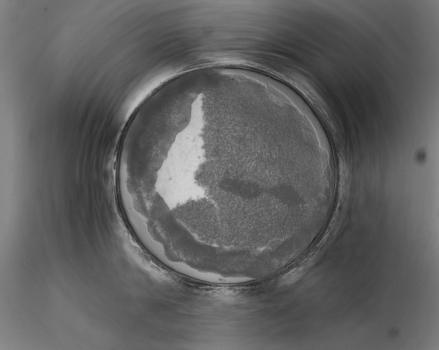 X0000116050814200912111502