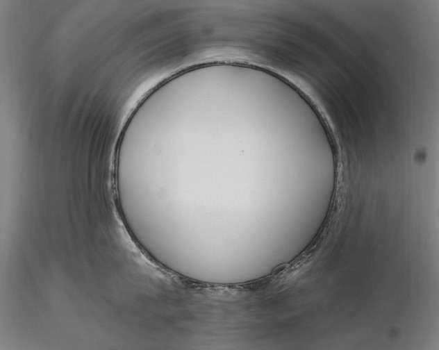X0000116050815200912111502