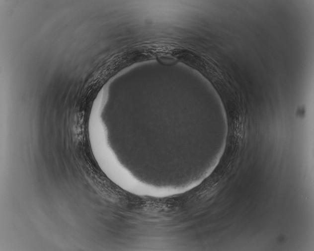 X0000116050818200912111502