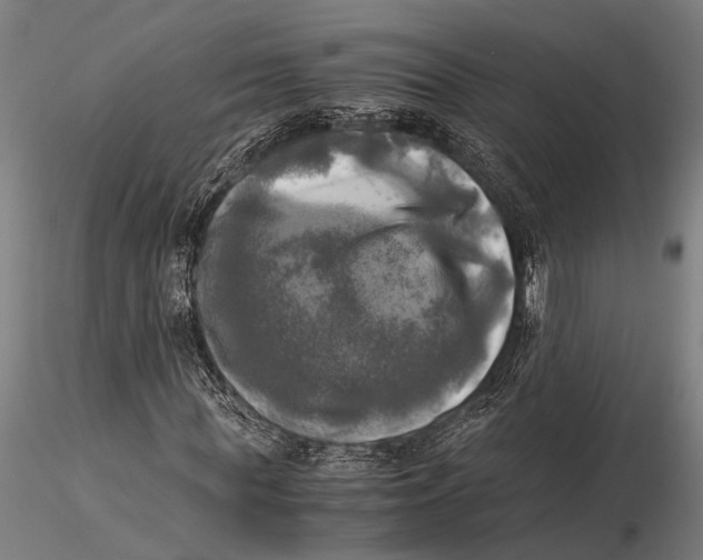 X0000116050819200912111502